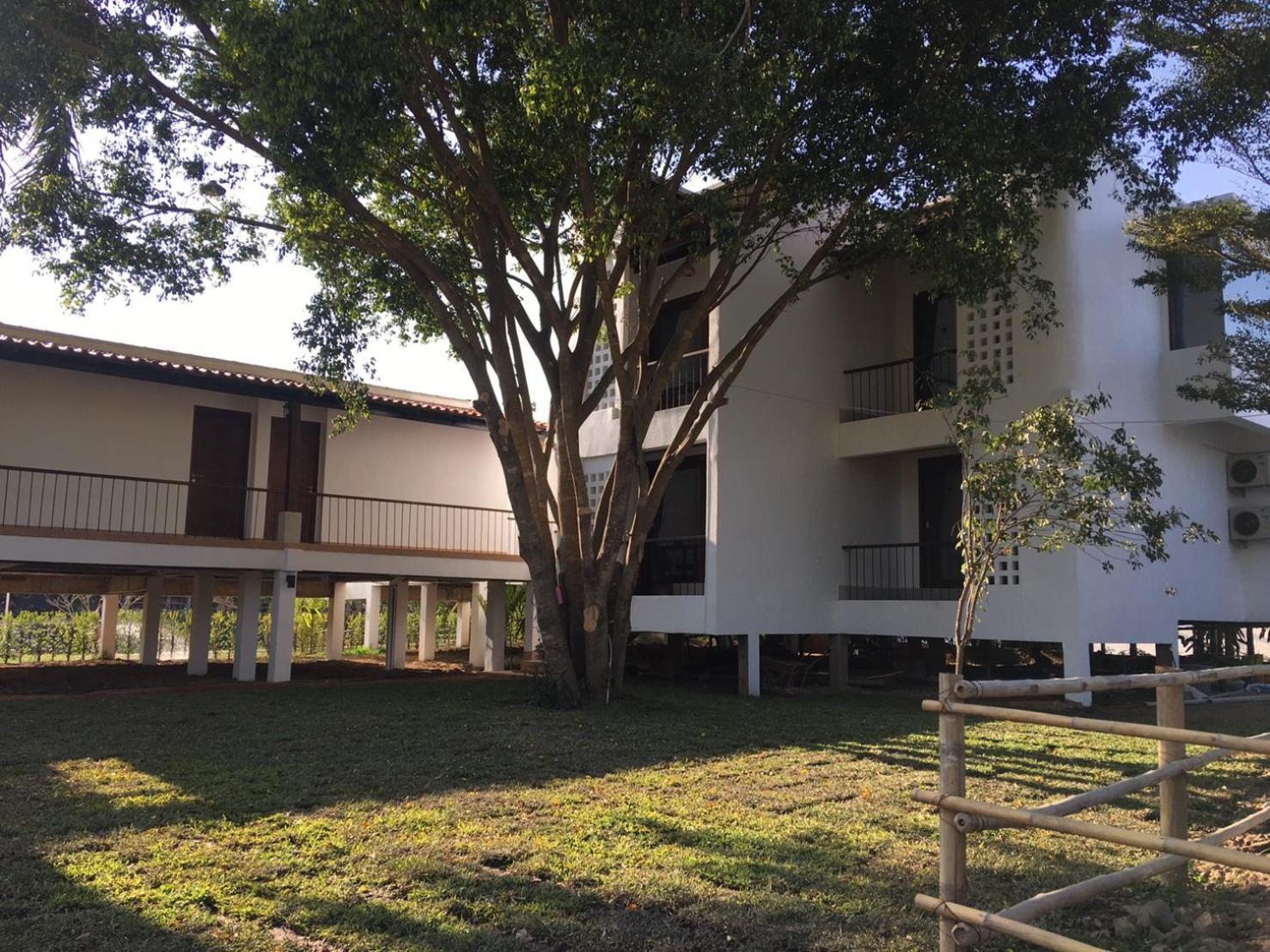 Canary Guesthouse Pai Rom bilde